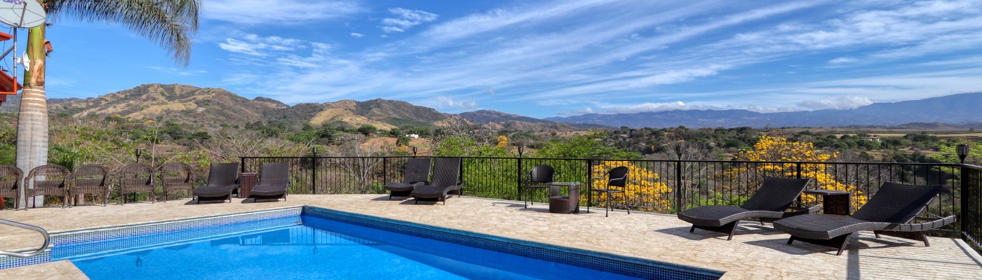 blue sky yellow flower